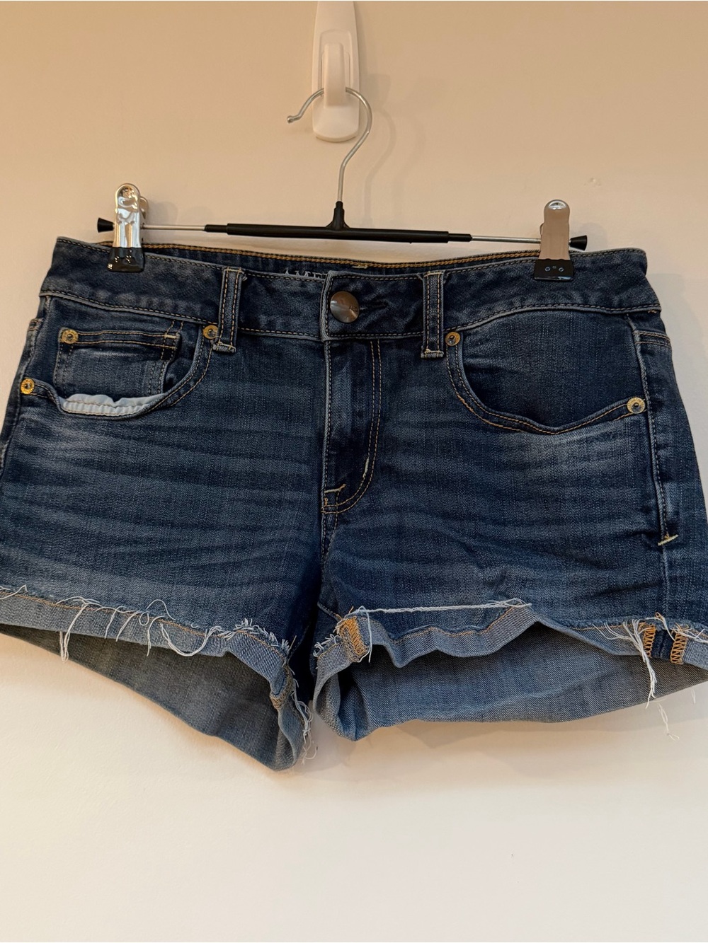 American Eagle Outfitters Denim Frayed Hem Shorts